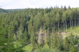 Chalet Eichenpanorama