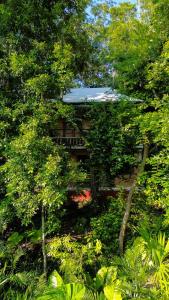 The Cobb House Eco Lodge - El Remate, Flores Petén