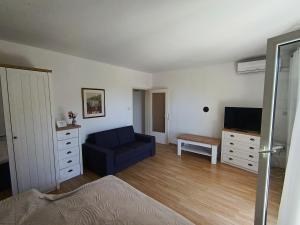 Apartment Alex