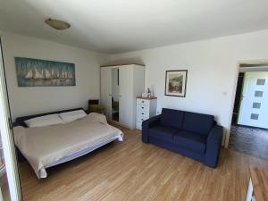 Apartment Alex