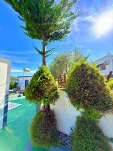 Petrit Guesthouse