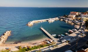 Chios Studios Kalamari