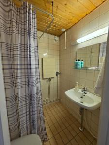 Central Accommodation at Olavinkatu