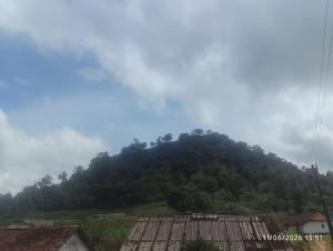 Tvkhomestay