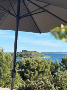 Seaview Apartment IRA PAKOŠTANE
