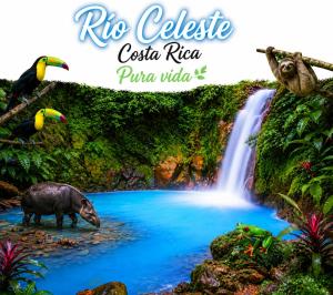 Posada familiar río celeste byl