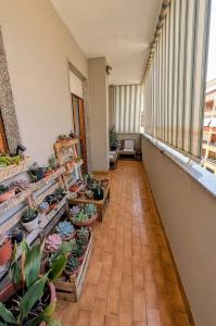Palms Rooms - Grazioso e Ricercato Trilocale con Veranda a 300m dal mare