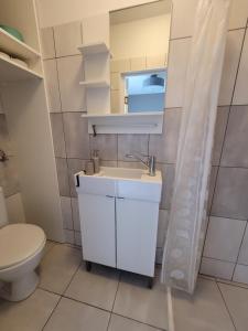Birutės alėja