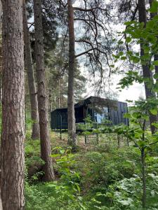 Connect Cabin - Bungalow Brasov, jacuzzi & forest view