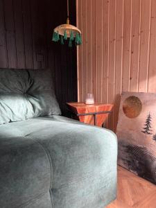 Connect Cabin - Bungalow Brasov, jacuzzi & forest view
