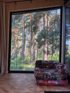Connect Cabin - Bungalow Brasov, jacuzzi & forest view