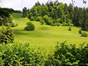 Chata Panorama