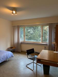 Studio - Easy Access to Art Basel