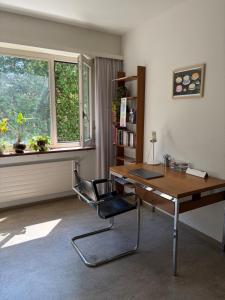 Studio - Easy Access to Art Basel
