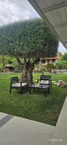 A Casa di Dody