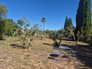 Finca Naranja y Flores