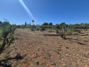 Finca Naranja y Flores