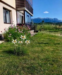 Floare de Colț Bran