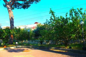ALMA Camere