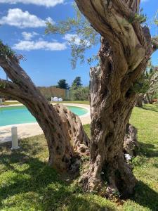 Villa Otto Ulivi con Piscina Privata