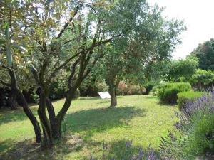 B&B / Chambres d'hotes La Vieille Bastide : photos des chambres