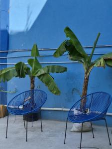 Bermejo Hostel LAP