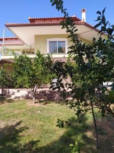 Ktima Anastasia Olive Grove Nafplio