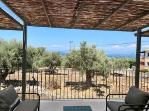 Spitaki Among Olives