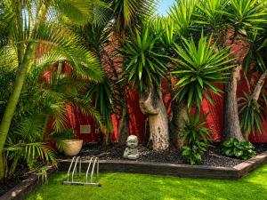 Deluxe Coliving Islas Canarias