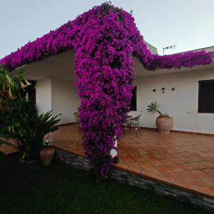 Exclusiva villa con piscina