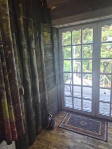 IDEAGNEs