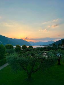 Ulivi Hotel & Residence