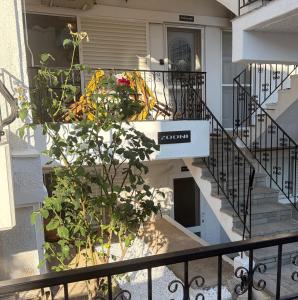 Zooni Shell Apartment Kalyves Chalkidiki