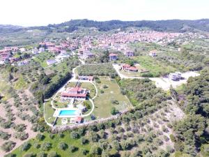 Villa Aurelia
