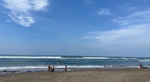 1 BR Villa - Walk to Canggu Beach