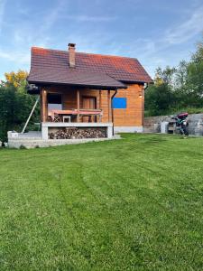 Vila Vlasinski mir