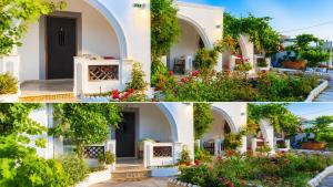 Mihalis Studios