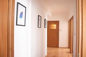 Płock City Center Apartment