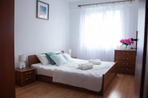 Płock City Center Apartment