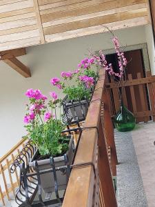 Casa Mario