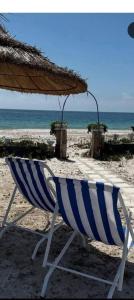villa s3 avec piscine pied dans leau ain grenz kelibia