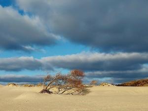 Sea Island View Borkum