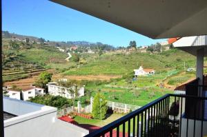 Cheerful Chalet
