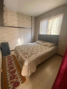 Soaltee city apartments