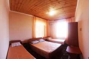Double Room room in Guest House Sibiryachka
