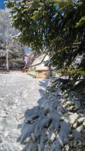 Cabană Holiday Home Jeremičak Zlatibor Serbia