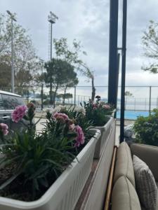 West Coast Apartaments