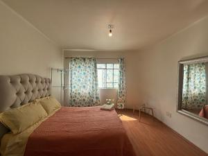 Bears house condesa-roma norte