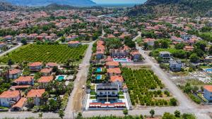 Dolunay Villas - 2