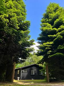 Liseleje sommerhus på naturgrund